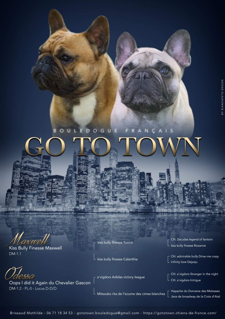 Go To Town - Gestation confirmée pour Odessa !  