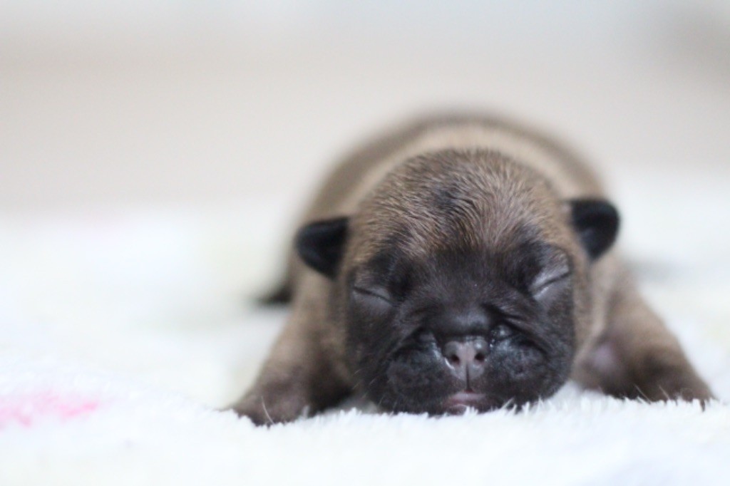 De nouvelles photos des bébés ! 