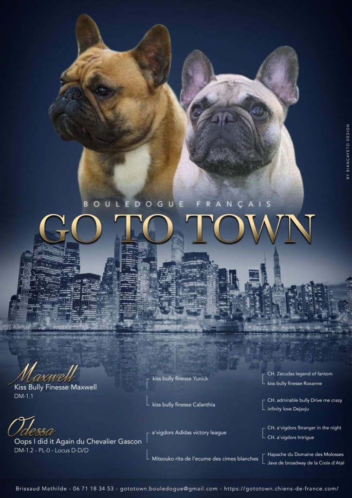 Go To Town - Gestation confirmée pour Odessa !